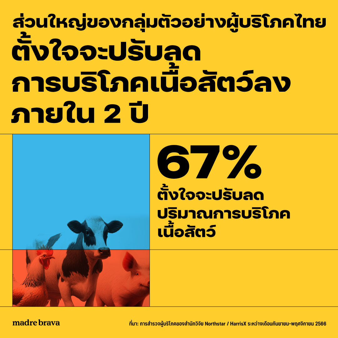 งานวิจัยผู้บริโภคไทยมากกว่า 1,500 คน ส่วนใหญ่ต้องการลดกินเนื้อสัตว์ 